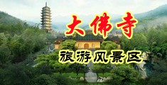 美女全裸被被抽插出水视频中国浙江-新昌大佛寺旅游风景区